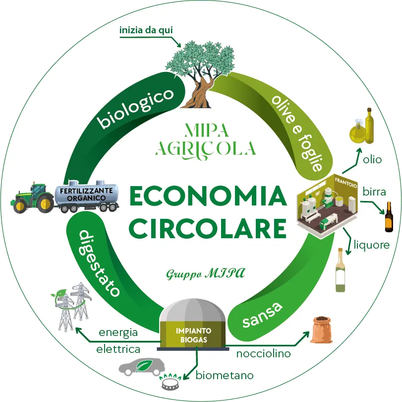 infografica economia circolare mipa agricola